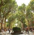 Decorateur Aix