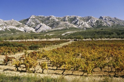 Décorateur à  SAINT REMY DE PROVENCE - ALPILLES