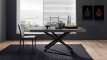 Table-contemporaine-extensible-metal