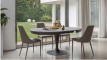 table-pied-central-tulipe-extensible